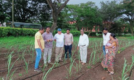 ಸಿಂಗಟಾಲೂರ ಏತನೀರಾವರಿ ಯೋಜನೆ ರೈತರ ಉತ್ಪಾದನೆ ಹೆಚ್ಚಳಕ್ಕೆ ಇಸ್ರೇಲ್ ತಜ್ಞರ ನೆರವು