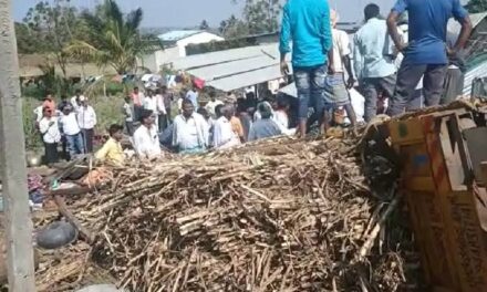 ಕಬ್ಬು ತುಂಬಿದ ಟ್ರ್ಯಾಕ್ಟರ್ ಪಲ್ಟಿ: ಮಹಿಳೆ ಸಾವು